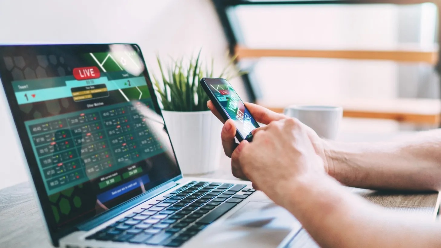 What are the win situations when doing betting in an online platform